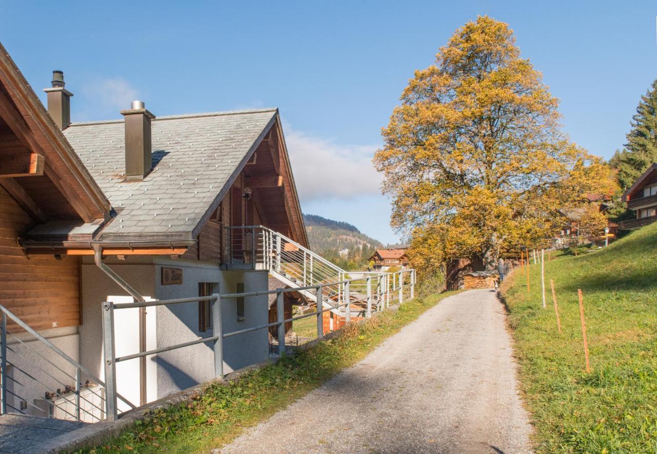 Chalet Rose Penthouse Wengen Buitenkant foto